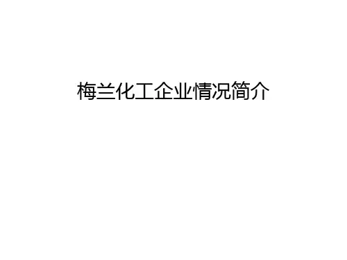 【管理资料】梅兰化工企业情况简介汇编