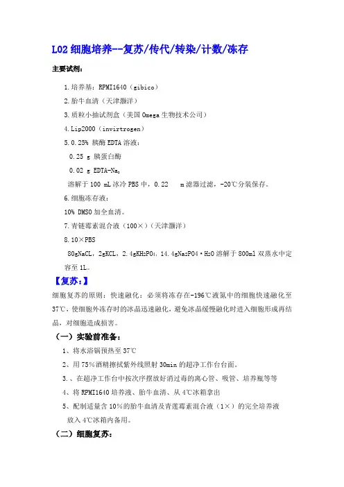 L02细胞培养及转染