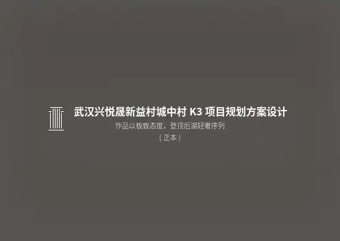 武汉兴悦晟新益村城中村 K3项目建筑设计方案