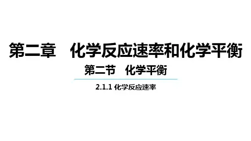 化学平衡 课件 2023-2024学年高二上学期化学人教版(2019)选择性必修1