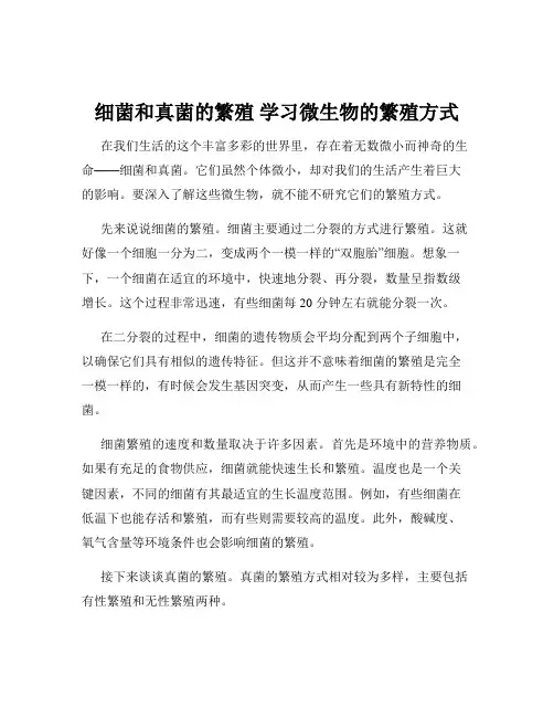 细菌和真菌的繁殖 学习微生物的繁殖方式