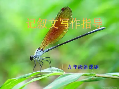 作文-记叙文初中作文指导ppt3优秀PPT