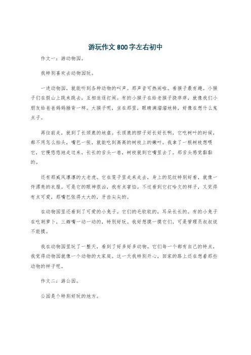 游玩作文800字左右初中