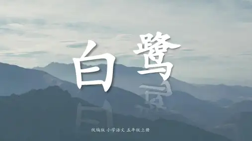 1《白鹭》课件(共29张PPT)