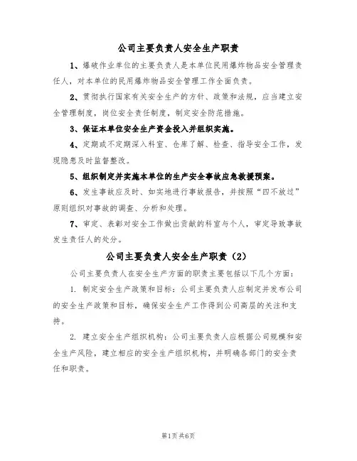 公司主要负责人安全生产职责（5篇）