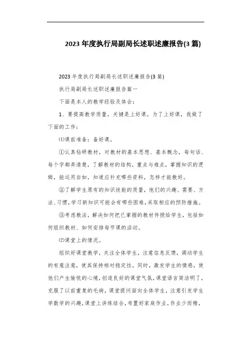 2023年度执行局副局长述职述廉报告(3篇)