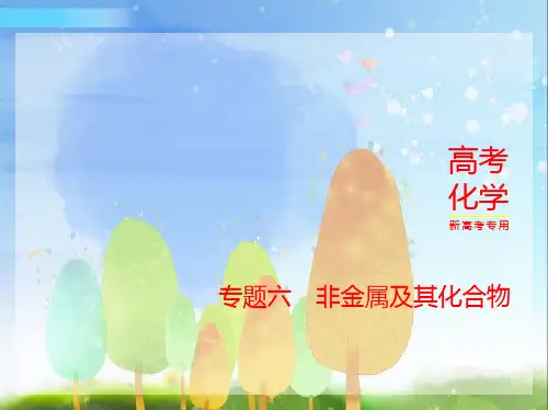 2024年新高考版化学专题六非金属及其化合物讲解部分