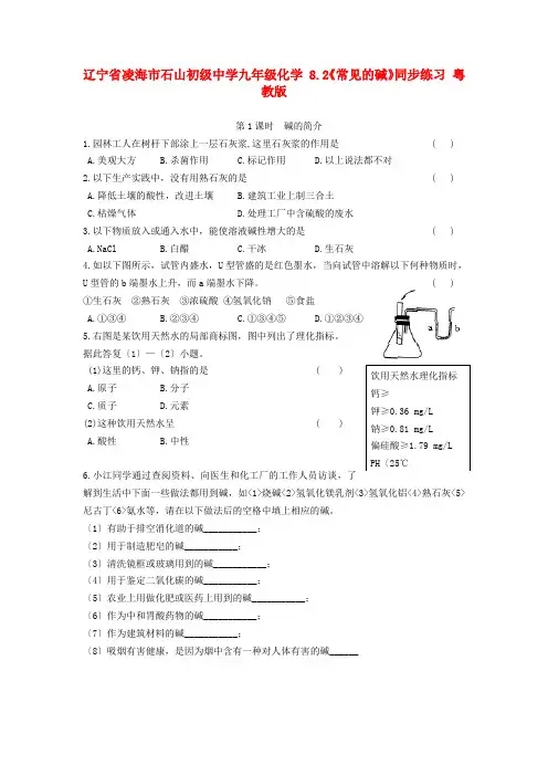 辽宁省凌海市石山初级中学九 粤教版.doc