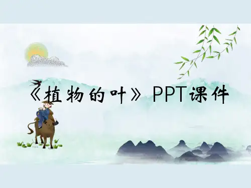 《植物的叶》PPT课件