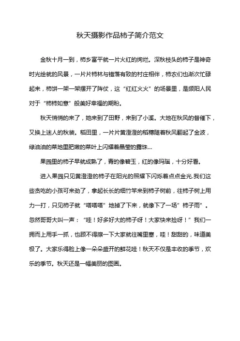 秋天摄影作品柿子简介范文