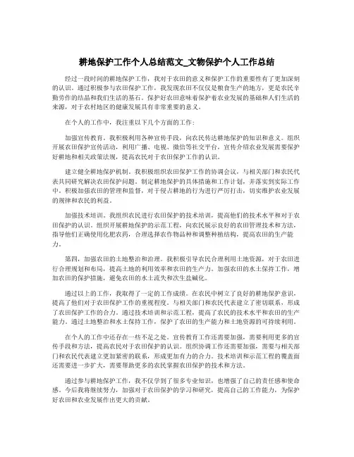 耕地保护工作个人总结范文_文物保护个人工作总结