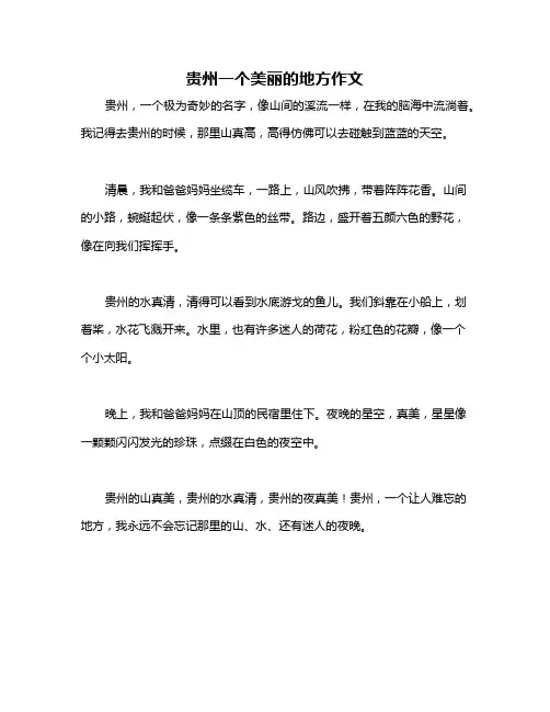 贵州一个美丽的地方作文