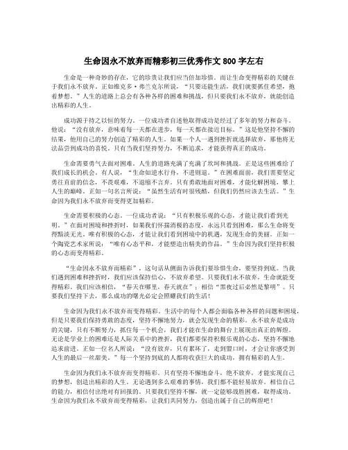 生命因永不放弃而精彩初三优秀作文800字左右