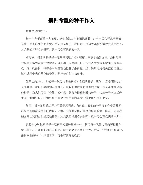 播种希望的种子作文