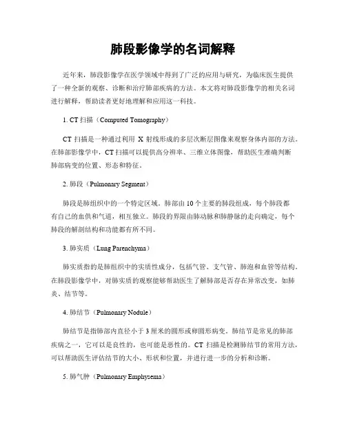 肺段影像学的名词解释