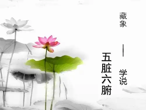 五脏六腑