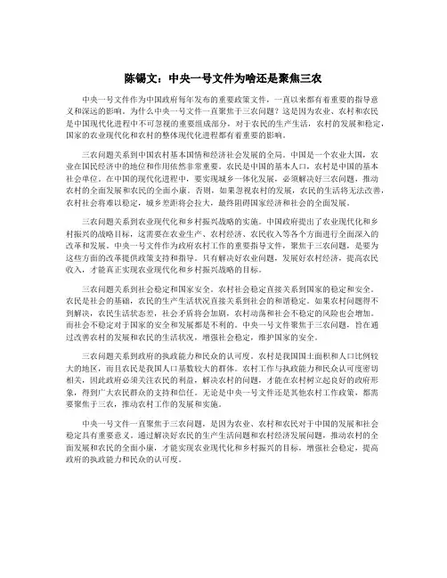 陈锡文：中央一号文件为啥还是聚焦三农