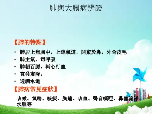 中医-肺与大肠PPT课件