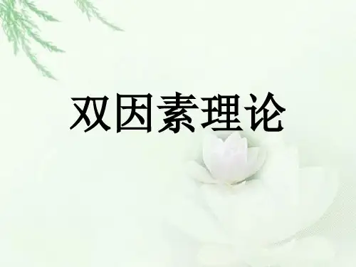 双因素理论 PPT课件