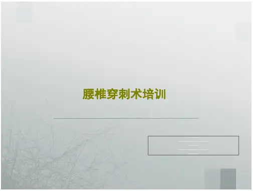 腰椎穿刺术培训 ppt课件