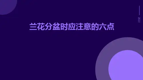 兰花分盆时应注意的六点