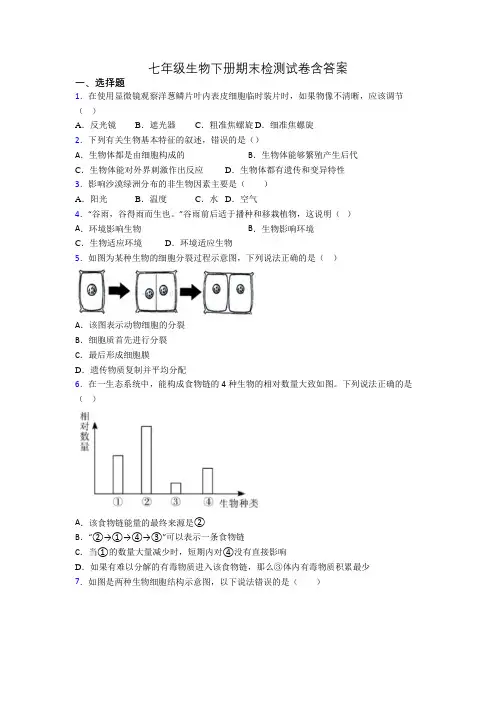 七年级生物下册期末检测试卷含答案