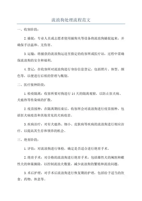 流浪狗处理流程范文