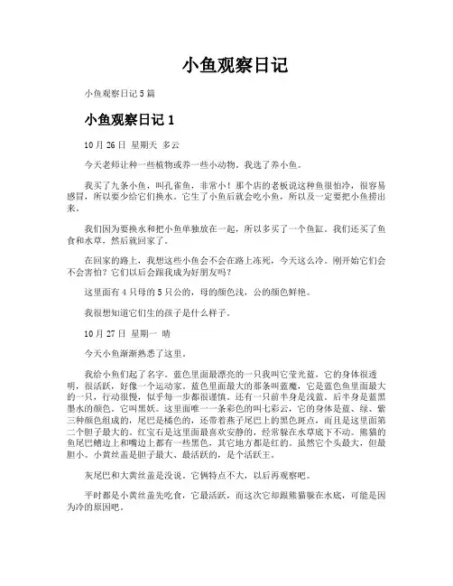 小鱼观察日记