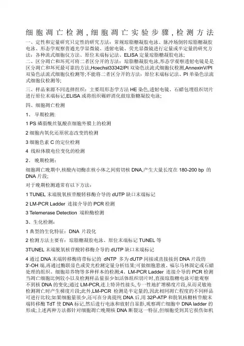 细胞凋亡检测细胞凋亡实验步骤检测方法