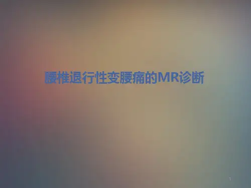 腰椎退行性变腰痛的MR诊断PPT课件