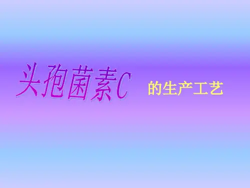 头孢菌素C