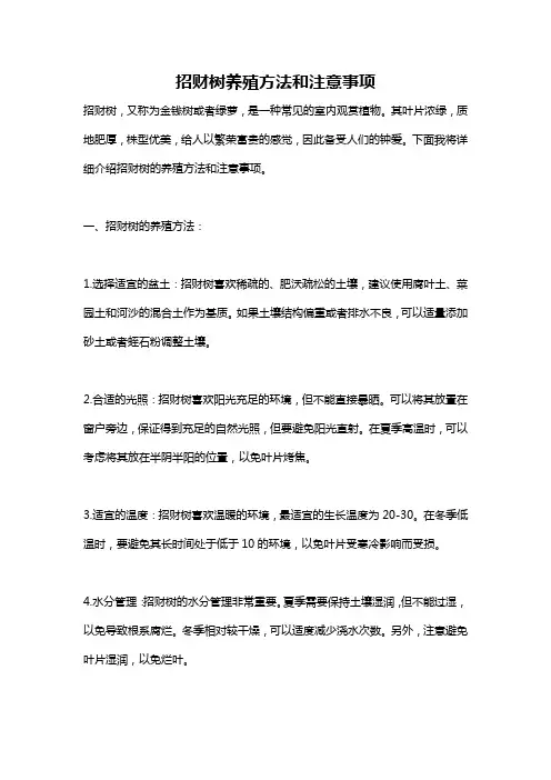 招财树养殖方法和注意事项