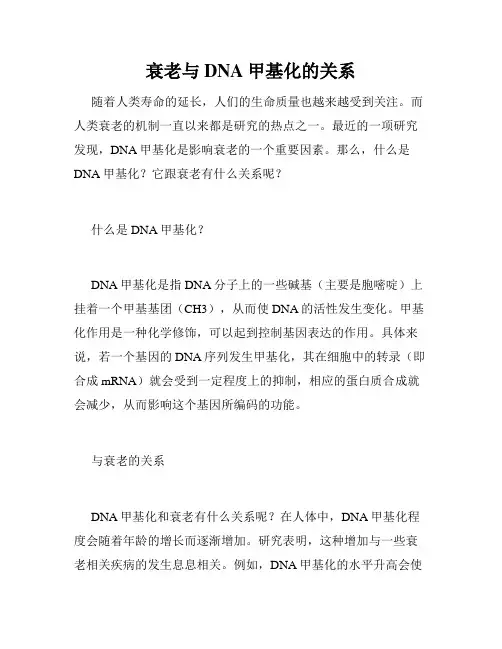 衰老与DNA甲基化的关系