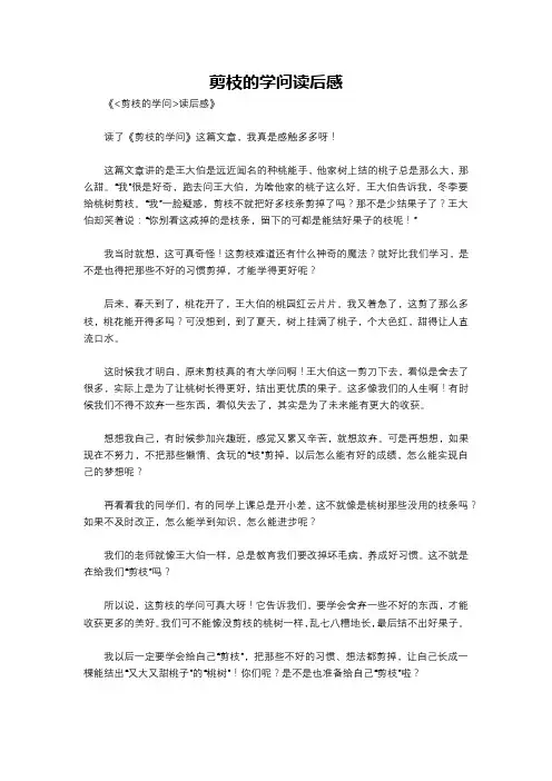 剪枝的学问读后感