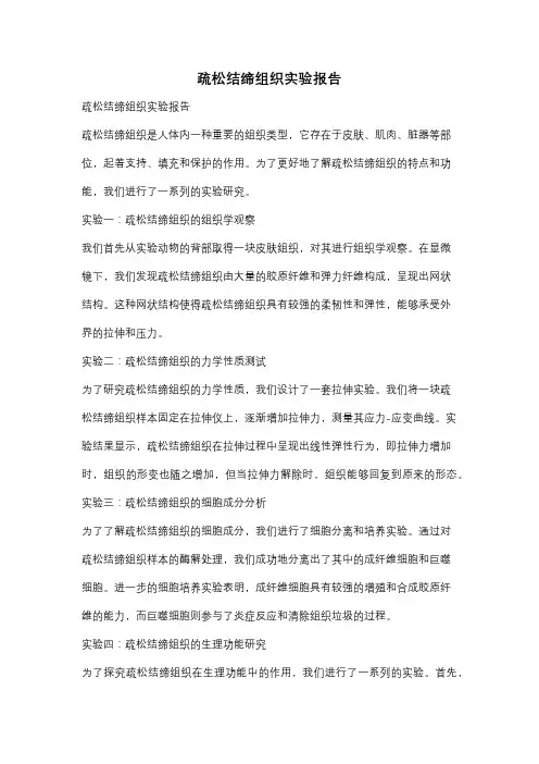疏松结缔组织实验报告
