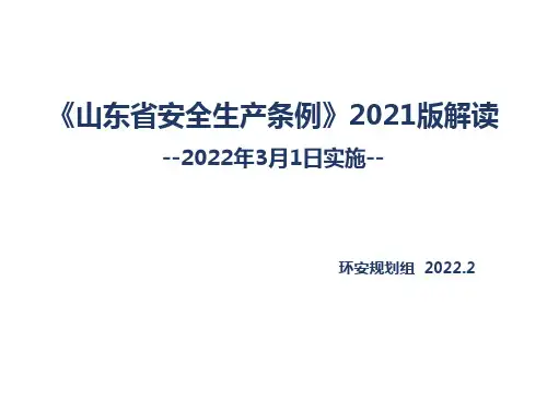 《山东省安全生产条例》解读
