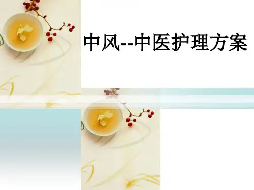 中风中医护理方案ppt培训演示课件.ppt