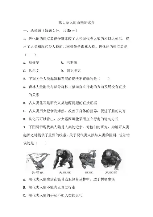 4.1 人的由来 单元测试 人教版生物七年级下册(含答案)