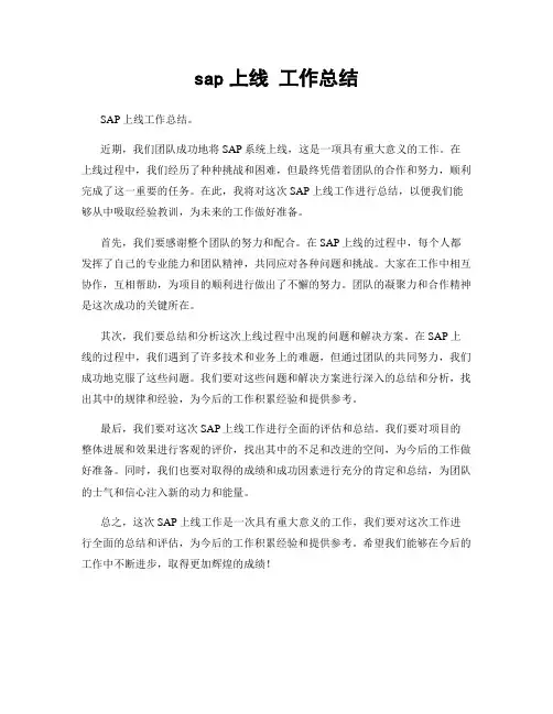 sap上线 工作总结