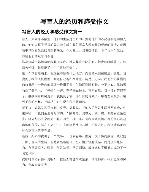 写盲人的经历和感受作文