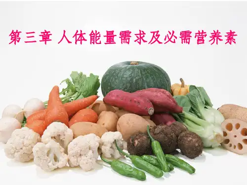 人体能量需求及必需营养素