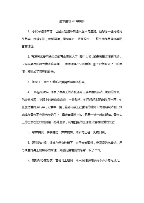 细节描写20字摘抄