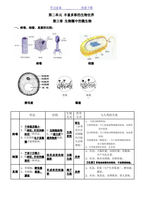 济南版七年级上册生物第二单元 丰富多彩的生物世界第三章生物圈中的微生物第四章生物的分类复习知识点