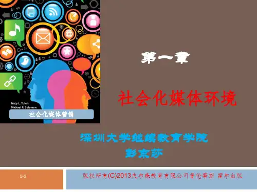 第一章社会化媒体环境