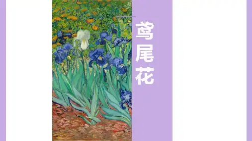 8-9岁创意油画棒《鸢尾花》