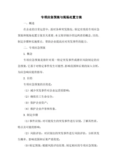 专项应急预案与现场处置方案