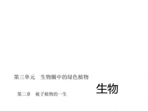 第二章 被子植物的一生
