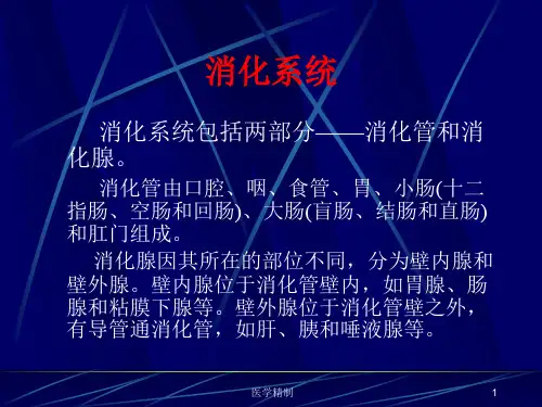 畜禽解剖学——消化系统(内容详细)