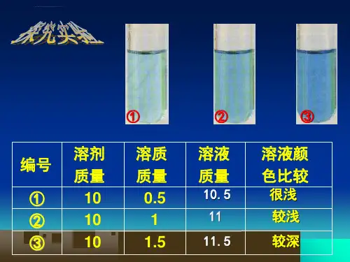 溶质的质量分数完整ppt课件