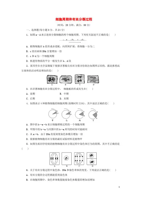 2024高中生物课时达标训练二十三第6章第1节第1课时细胞周期和有丝分裂过程含解析新人教版必修1